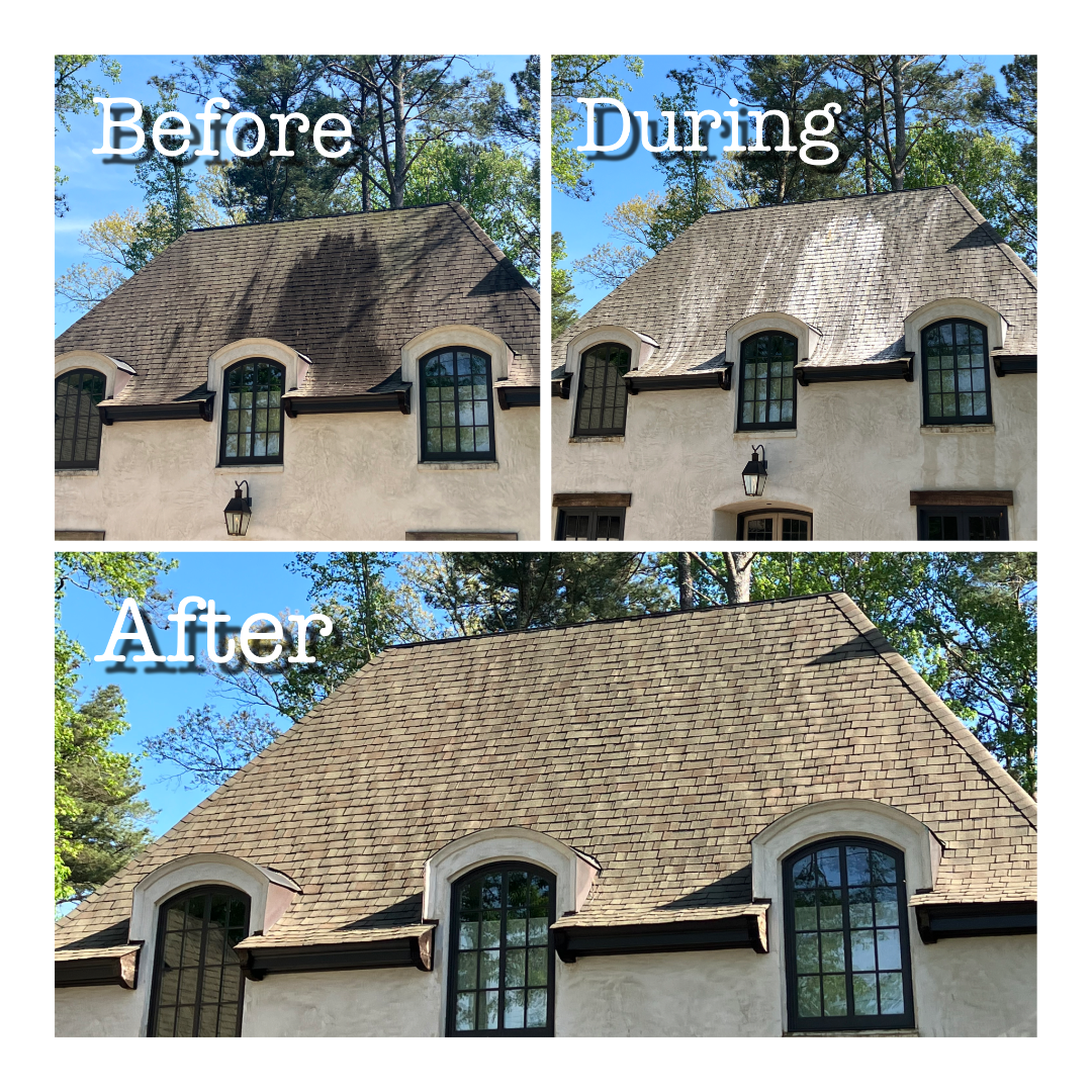 B4- During- & After Pic